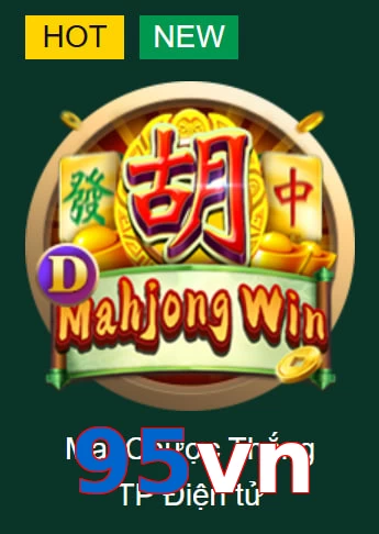 95vn
